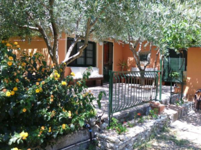 Il Vigneto 